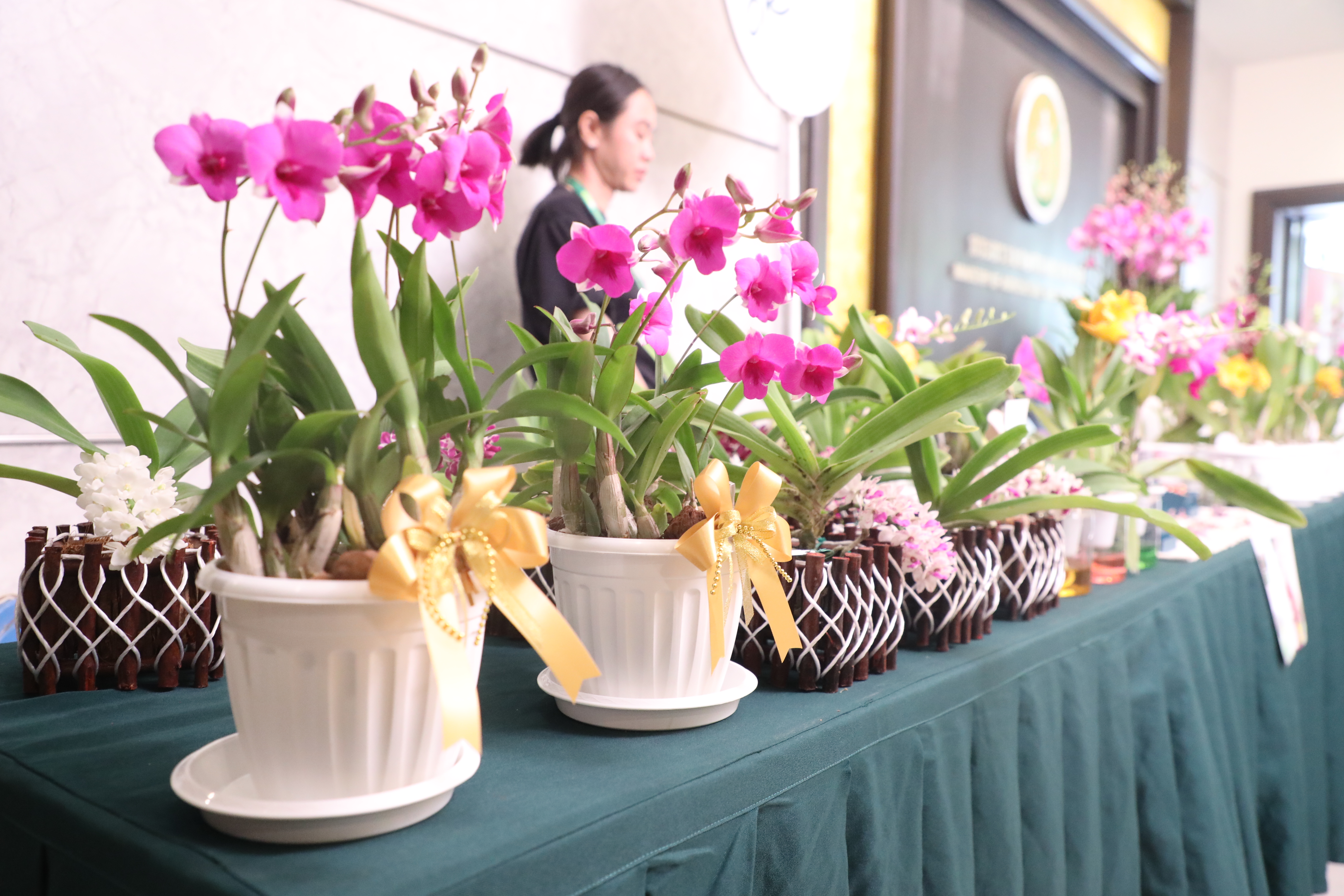 title - ส.ป.ก. ร่วมงานแถลงข่าวการจัดงานแสดงกล้วยไม้ไทย ภายใต้แนวคิด 